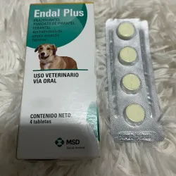 Endal plus
