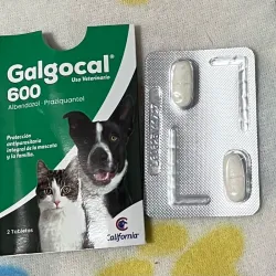 Galgocal antiparasitario