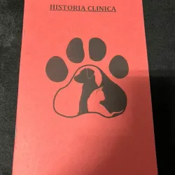 Historias clínicas