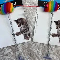 Juguete para gatos