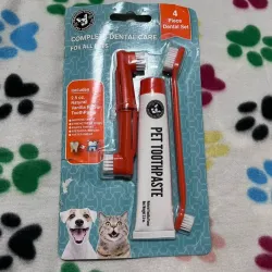 Kit dental