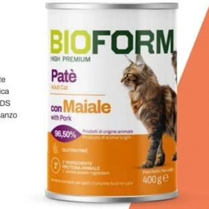 Latas de pate para gatos