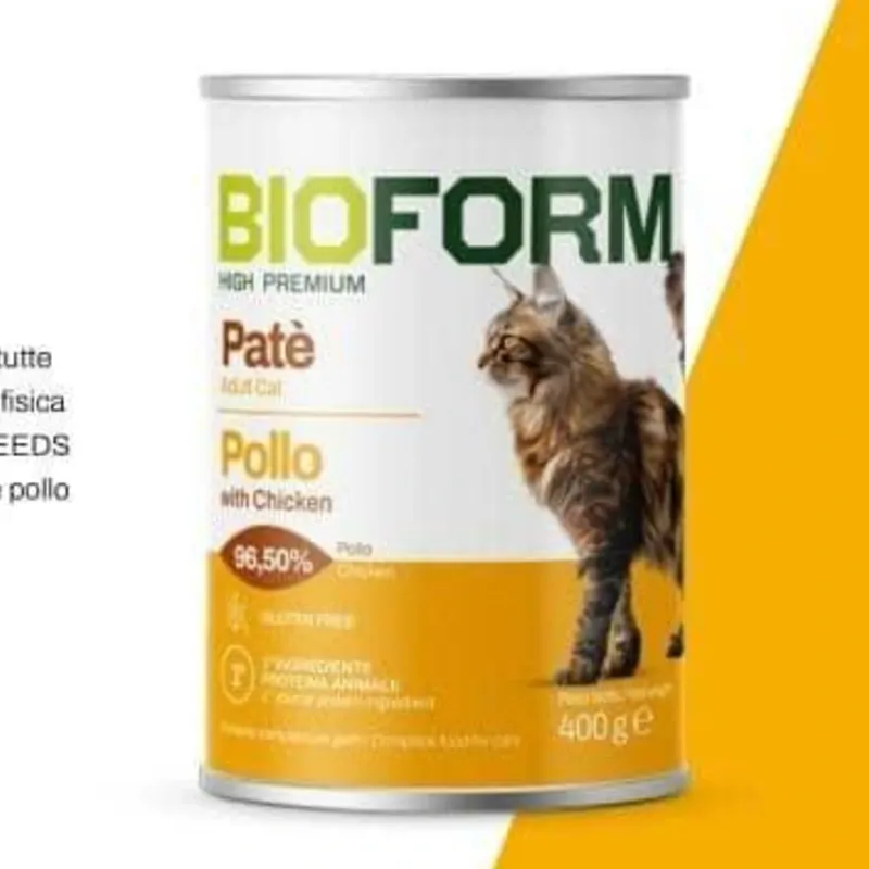 Latas de pate para gatos