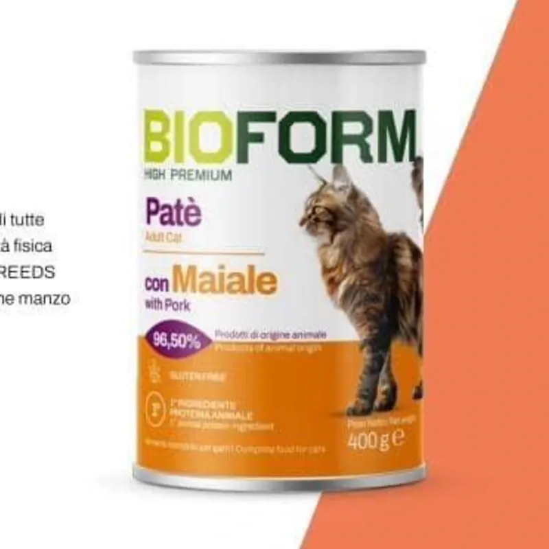 Latas de pate para gatos
