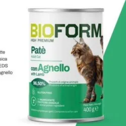 Latas de pate para gatos