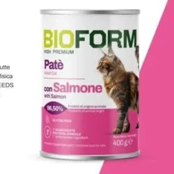 Latas de pate para gatos