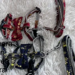 Pechera con correa pequeñas