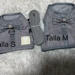 Pechera con correa talla S y M