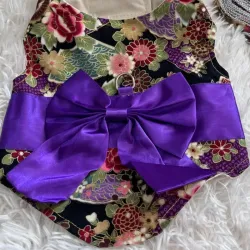 Pecheras de ropa 