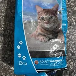 Pienso bioform para gatos
