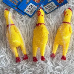 Pollos chillones pequeños