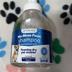 Shampoo