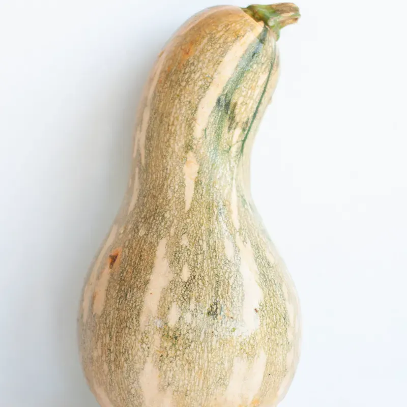 Calabaza (piezas enteras x kg)