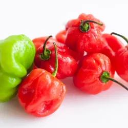 Chile Habanero(Picante) 350cup x pack 250g 