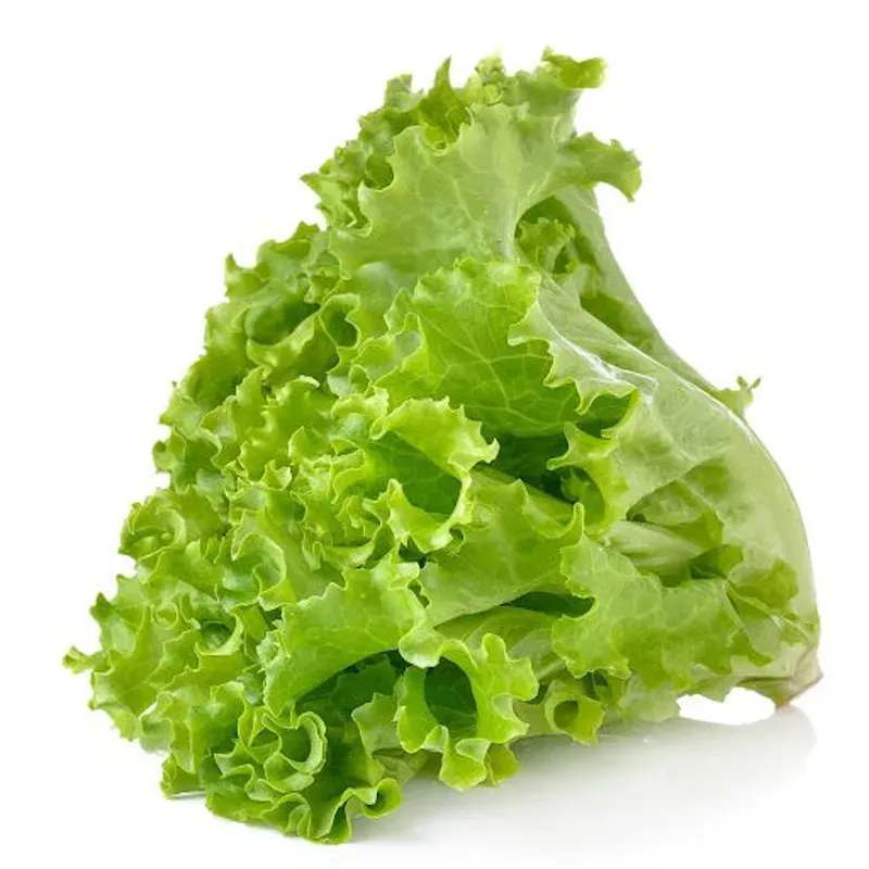 Lechuga americana pack 1 kg