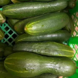 Pepino Criollo pack 1 kg 