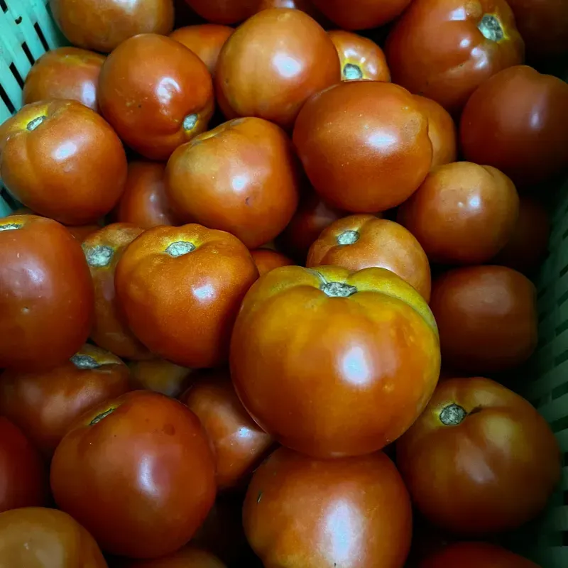 Tomate de Ensalada pack 500g