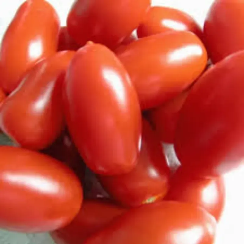 Tomate Perita (un diamante)