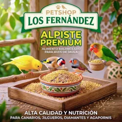 Alimento para Aves | Alpiste 1/2 libra