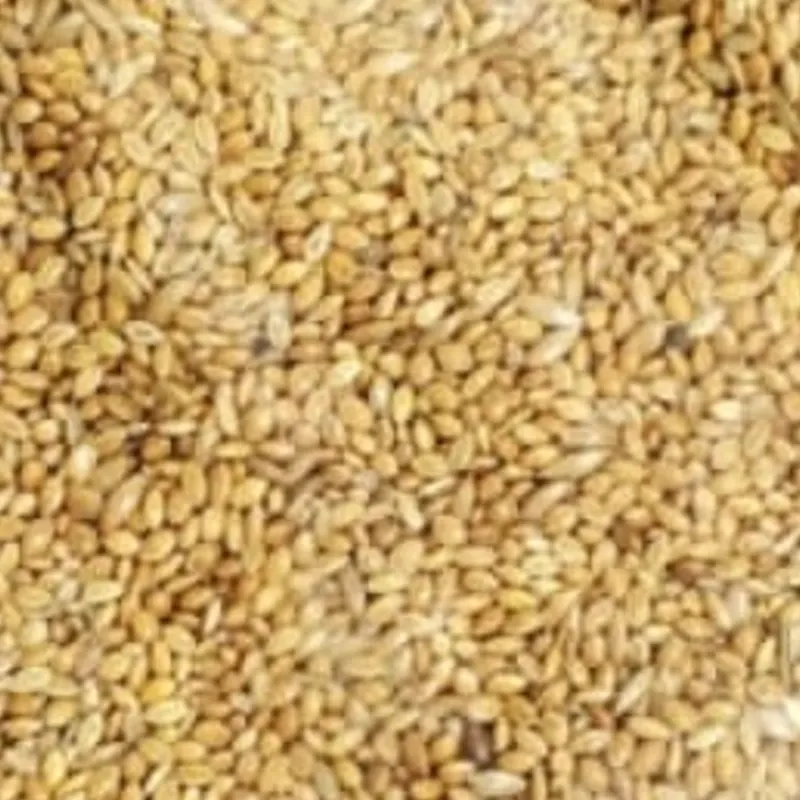 Alimento para aves | Mezcla de Fantasía 1lb