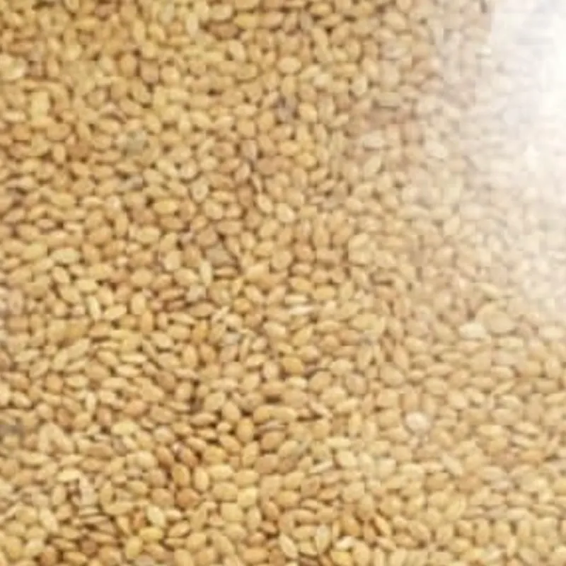 Alimento para aves | Mijo 1/2 lb
