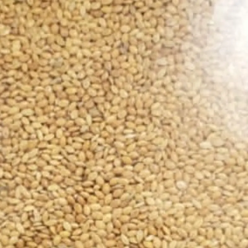 Alimento para aves | Mijo 1 lb