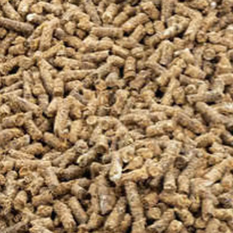 Alimento para Hámster | Pienso pellets 1/2 lb