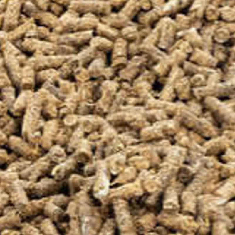 Alimento para Hámster | Pienso pellets 1 lb