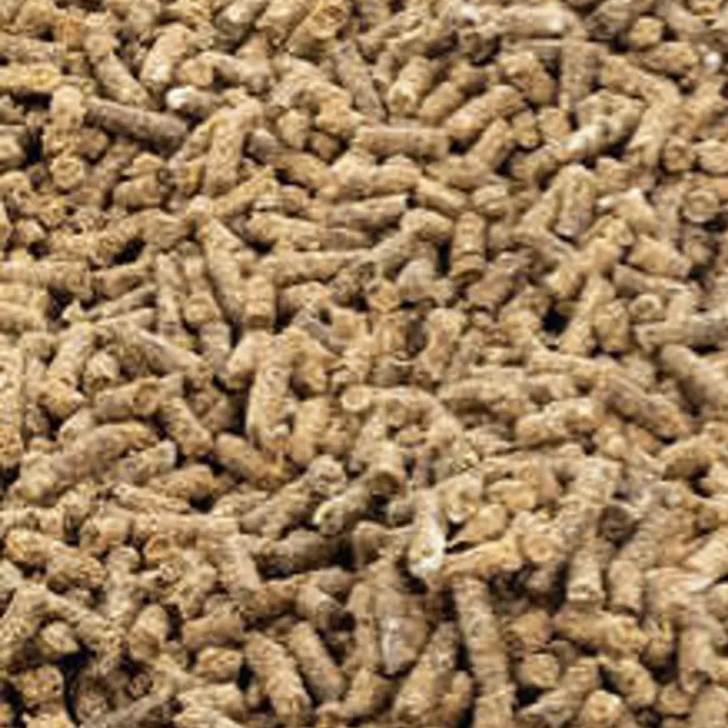 Alimento para Hámster | Pienso pellets 2 lb