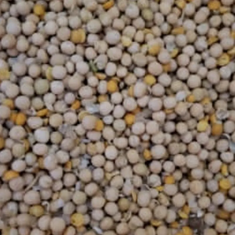 Alimento para Hamsters | Chícharos 1lb