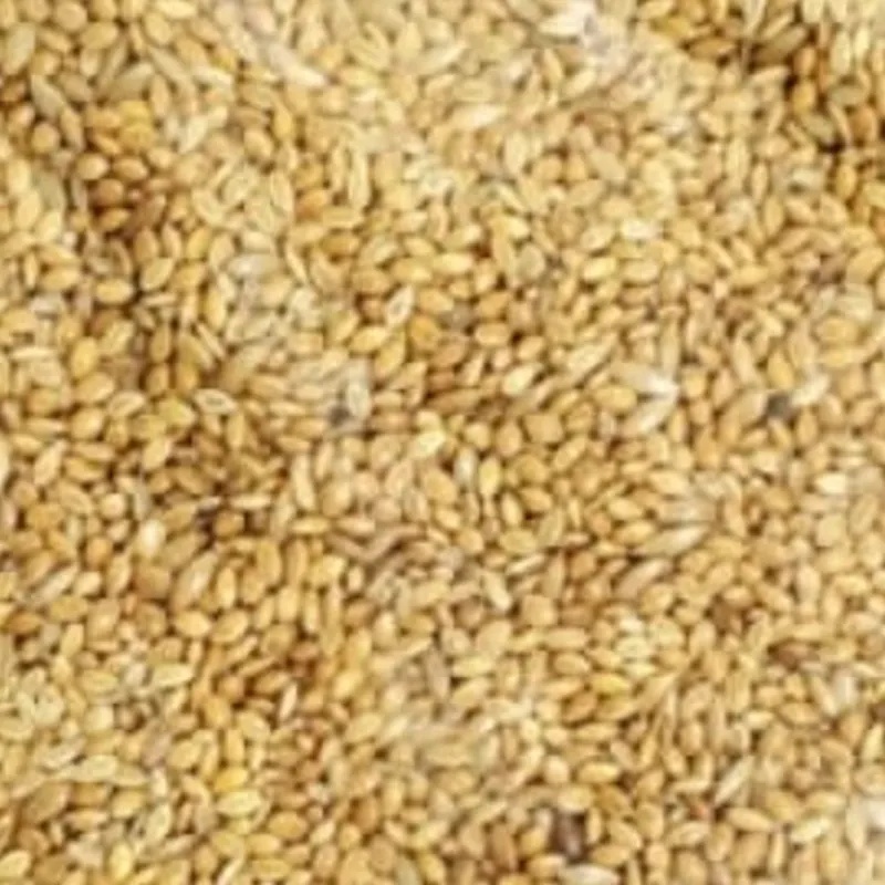 Alimentos para aves | Mezcla de Fantasía 1/2 lb