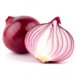 Cebolla 