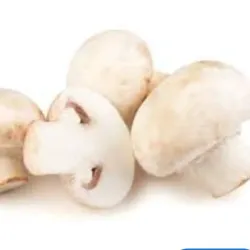 Champiñon 