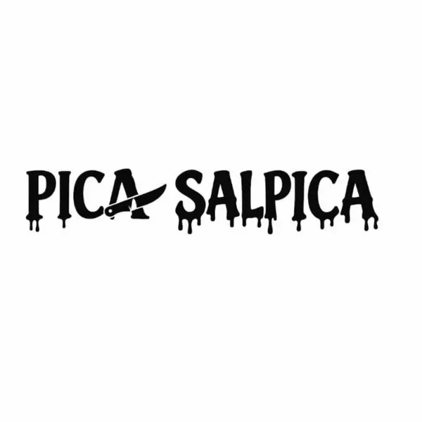 ¡¡ Somos Picasalpica!! Ofrecemos atención de calidad, un menú accesible y variado y  la combinación de recetas tradicionales e internacionales  elaboradas con ingredientes frescos y pan artesanal . Explora nuestro catálogo digital , haz tu pedido y disfruta de una experiencia gastronómica cálida, confiable y deliciosa  desde la comodidad de tu hogar.