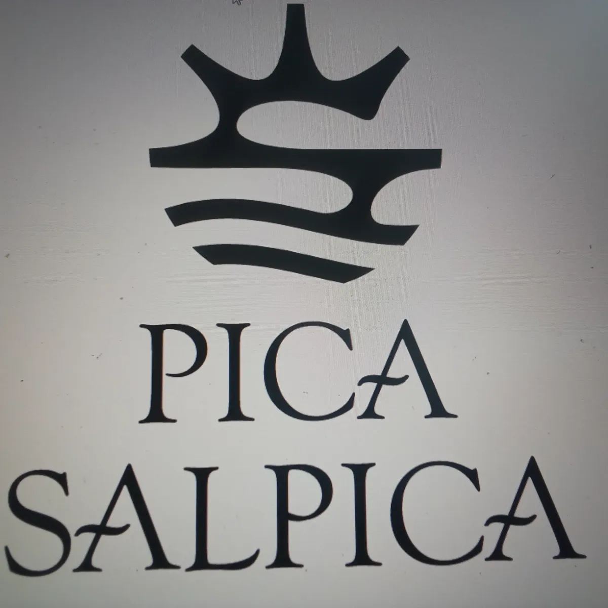 Picasalpica