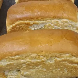 Pan de molde