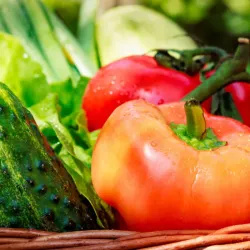 Vegetales 