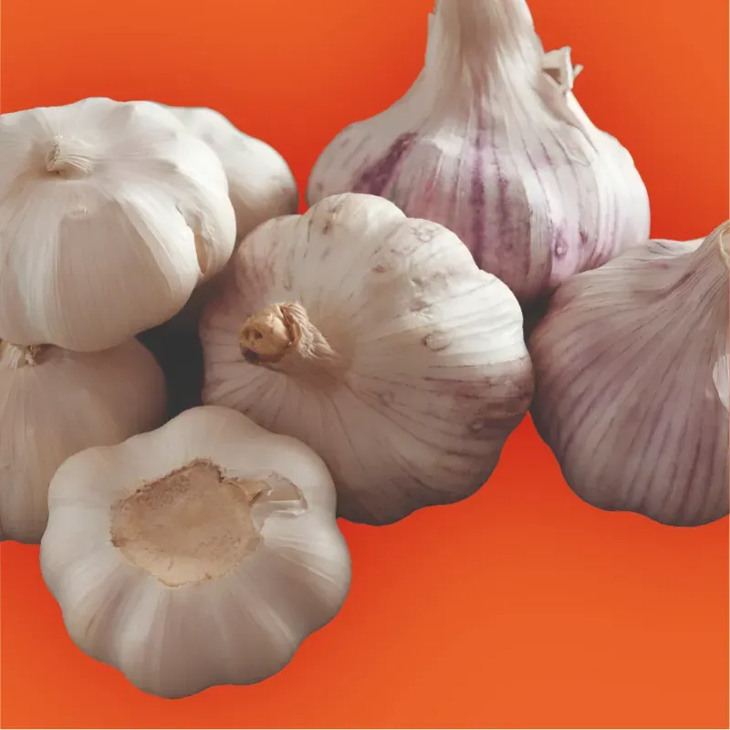 Ajo