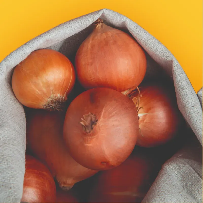 Cebolla