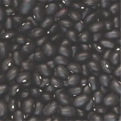 Frijoles negros 