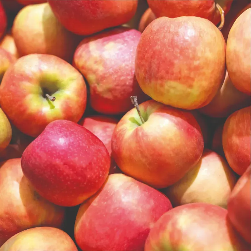 Manzanas 