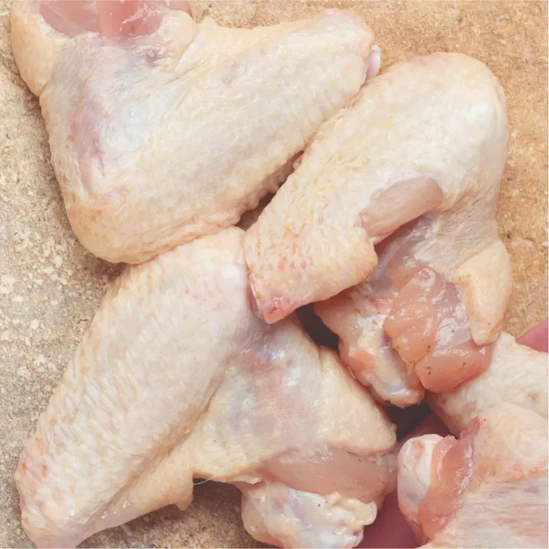 Pollo