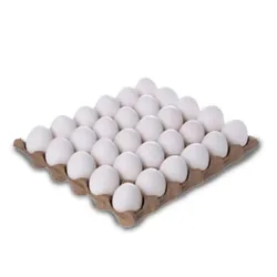 CartĂłn de Huevos
