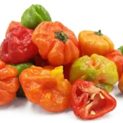 Aji Cachucha PDL 460g