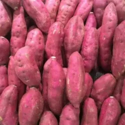 Boniato PDL 1kg