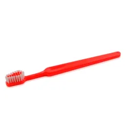 Cepillo Dental