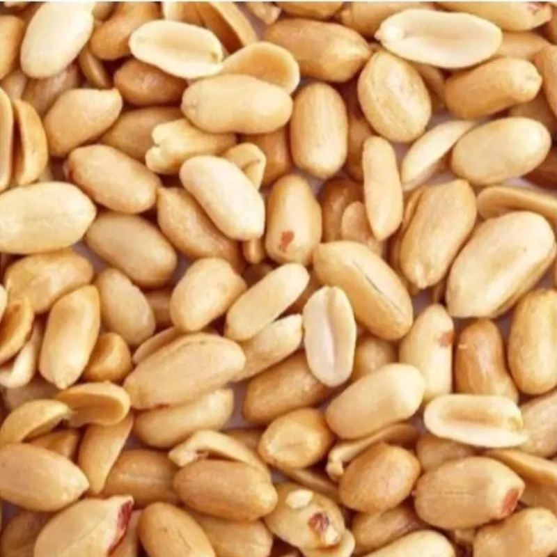 Granos Naturales de Mani Tostados D'Ley 460g