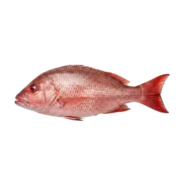 Pescado Entero ( Pargo)2.5kg