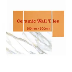 Porcelanato 30x60