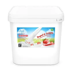 Yogourt de Coágulo 4L(fresa)
